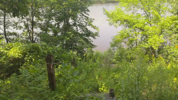 2677 Mississippi Shores RD, Fort Ripley, MN 56449