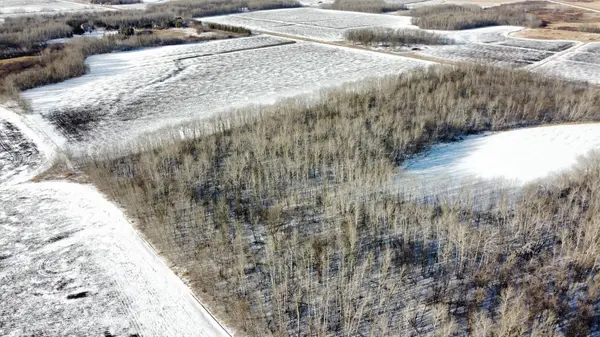 Parcel B 110th St NE, Smiley Twp, MN 56701