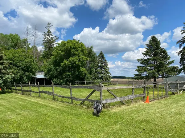 29358 Minnesota Highway 22, Litchfield, MN 55355
