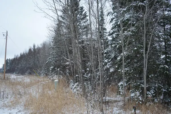 TBD Town Line RD, Bassett Twp, MN 55602