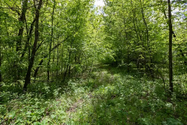 Lot 12 133rd ST, Amery, WI 54001
