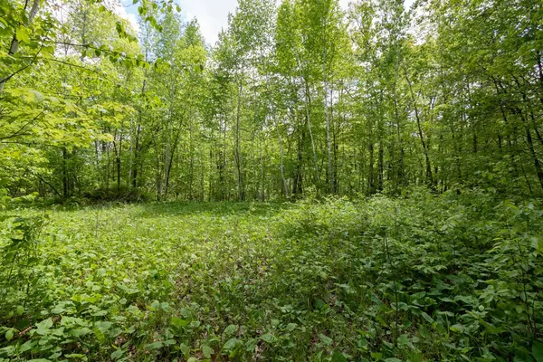 Lot 12 133rd ST, Amery, WI 54001