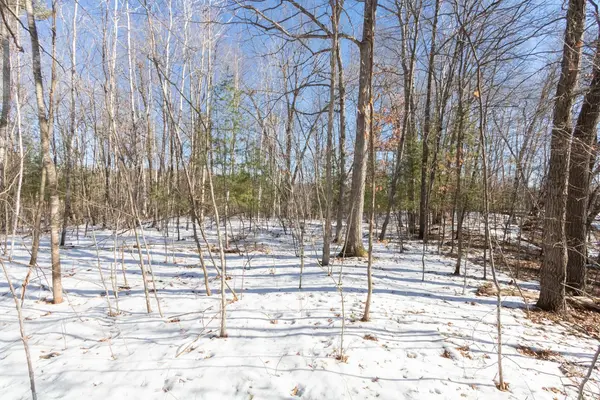 Lot 17 133rd ST, Amery, WI 54001