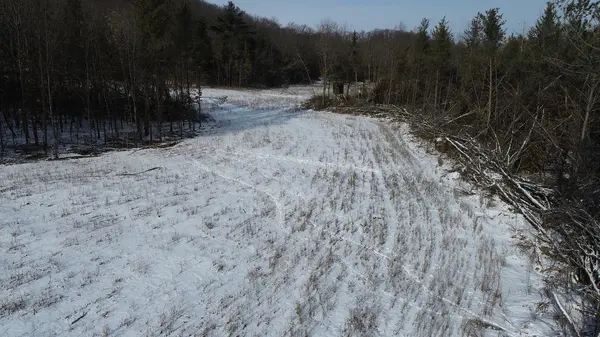 0 Nash RD, Adams Twp, WI 54615