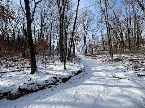0 Nash RD, Adams Twp, WI 54615
