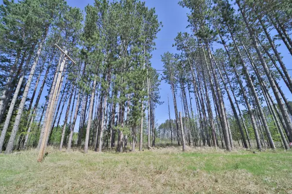 TBN Legionville RD, Brainerd, MN 56401