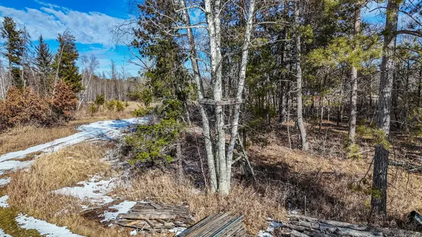 15536 & 15634 318th ST, Red Eye Twp, MN 56464