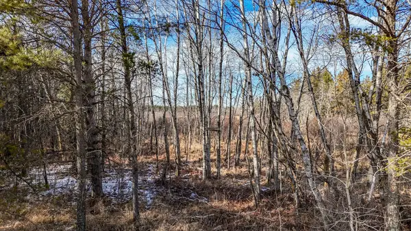 15536 & 15634 318th ST, Red Eye Twp, MN 56464