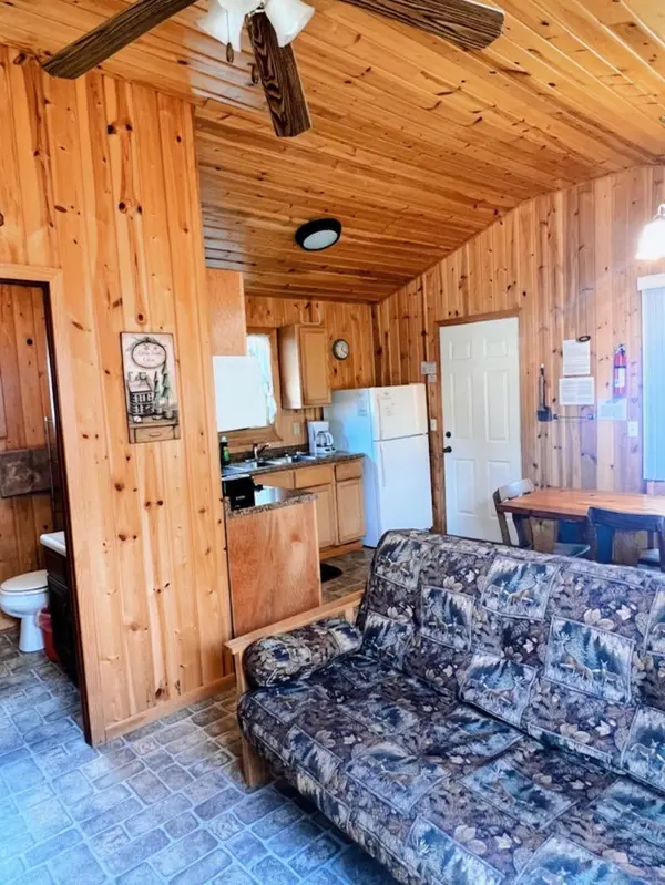 35686 Rush Lake LOOP #3, Ottertail, MN 56571