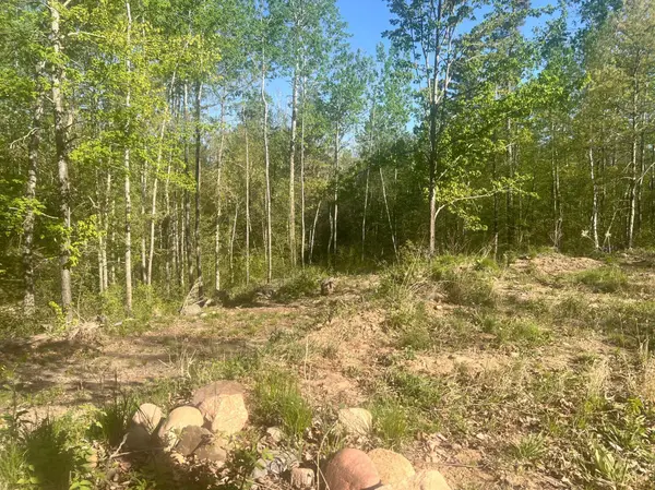 7773 White Overlook DR, Pequot Lakes, MN 56472