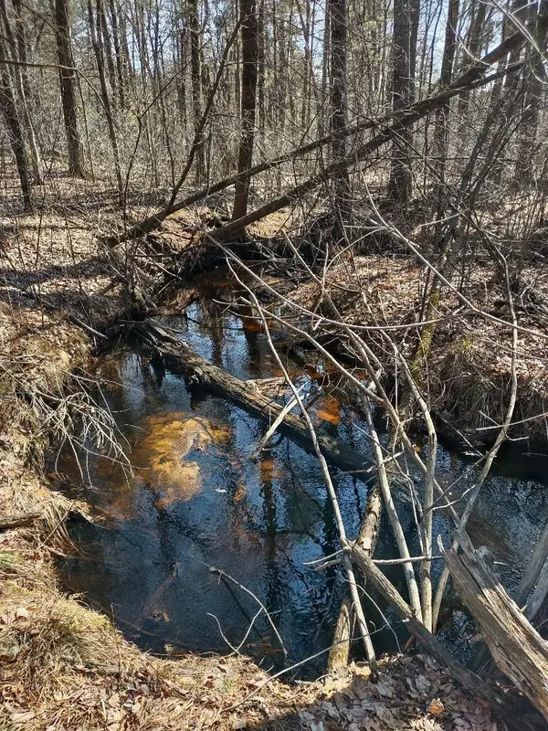 Lots 41,42,43 S Red Pine TRL, Black River Falls, WI 54615