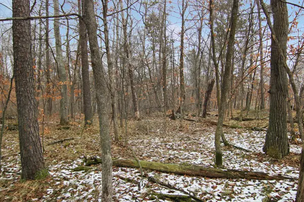 TBD Lot 13 Northwoods Lane, Breezy Point, MN 56472