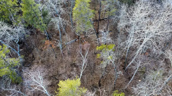 TBD Lot 13 Northwoods Lane, Breezy Point, MN 56472