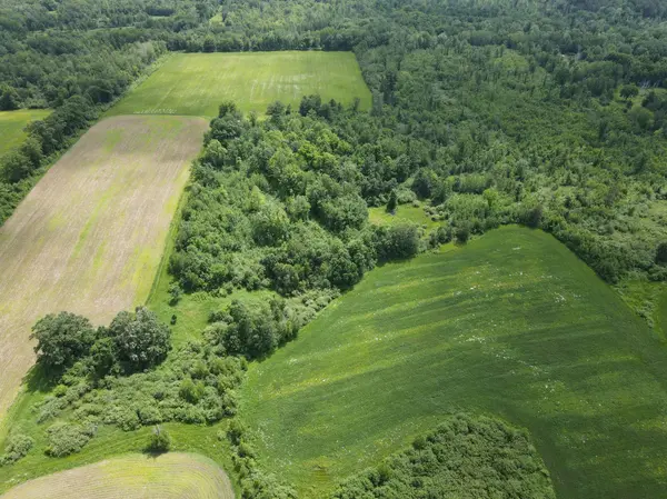 TBD Partridge DR, Askov, MN 55704