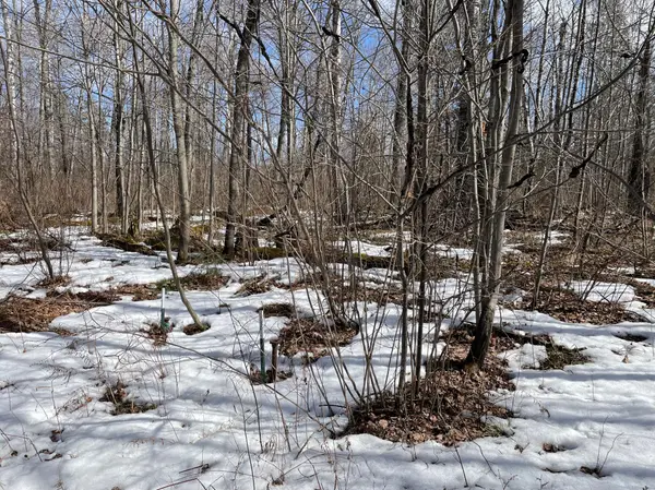 6556 Voyageurs TRL, Biwabik, MN 55708