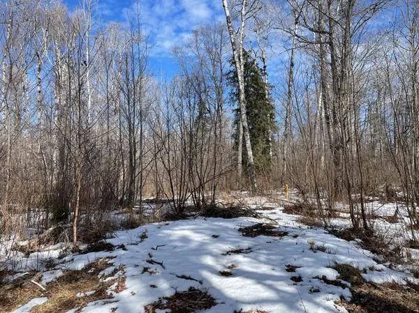 6562 Voyageurs TRL, Biwabik, MN 55708