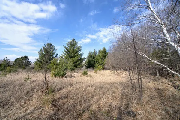 TBD Pacer LOOP, Browerville, MN 56438