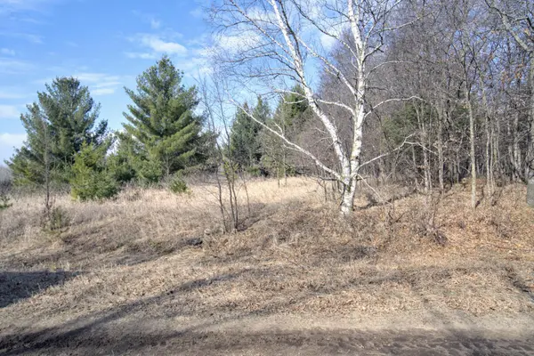 TBD Pacer LOOP, Browerville, MN 56438