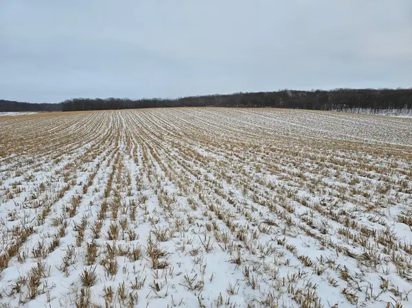 371XX 280th Ave [B], Dent, MN 56528