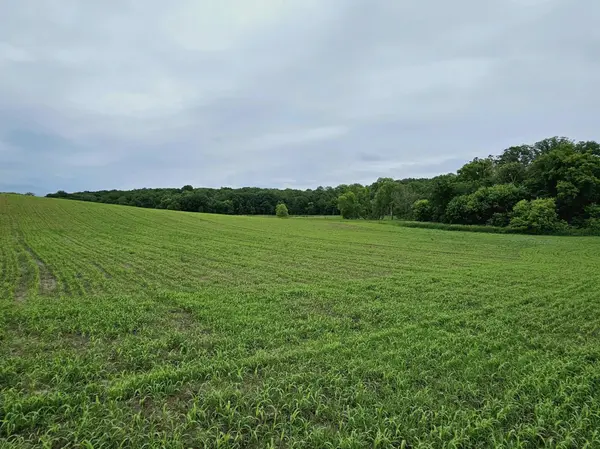 371XX 280th Ave [B], Dent, MN 56528