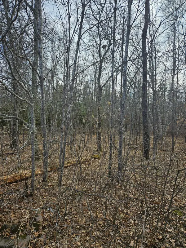 Lot 8 Honeysuckle WAY, Baxter, MN 56425