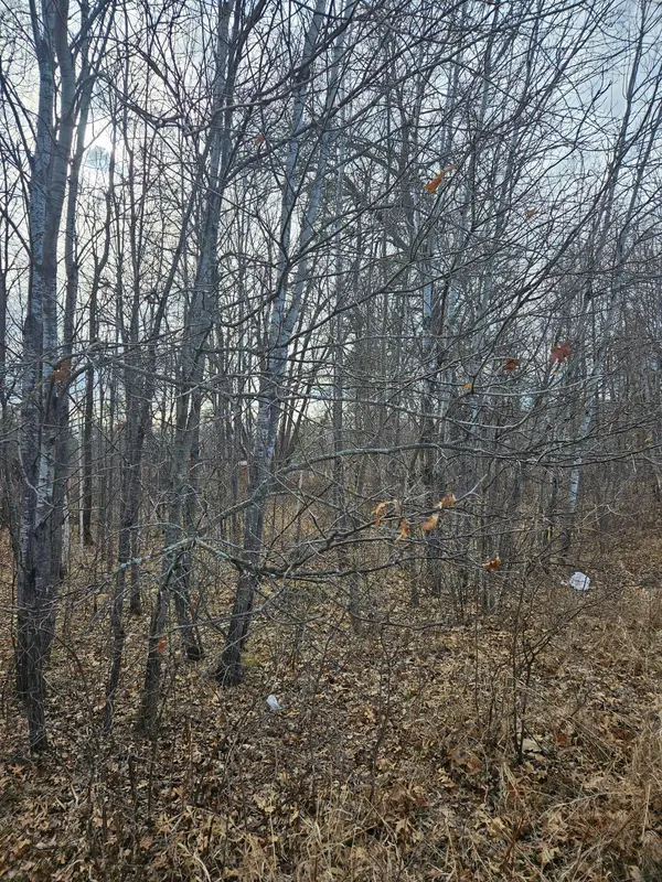 Lot 8 Honeysuckle WAY, Baxter, MN 56425