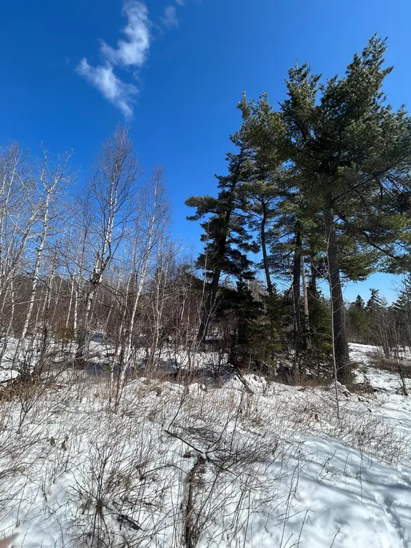 4375 Wood Ridge DR,  Beaver Bay,  MN 55601
