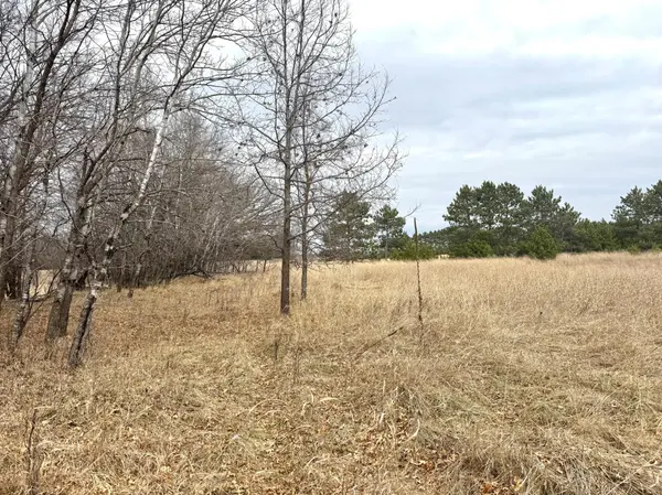 TBD-14AC Variolite St, Spencer Brook Twp, MN 55371