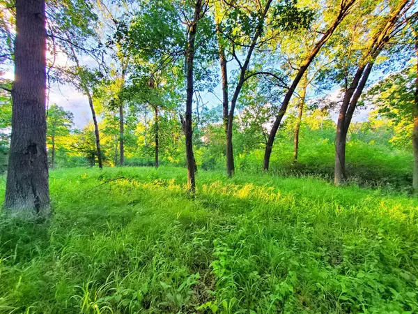 XXX Lot 3 Chestnut ST, Marine On Saint Croix, MN 55047