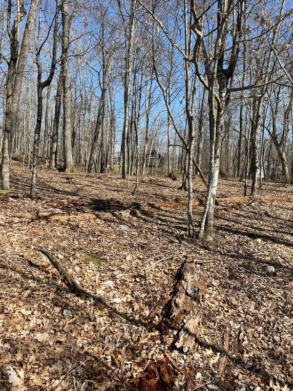 Lot 1 Block 12, Garrison, MN 56450