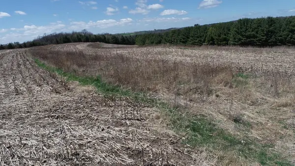 0 Schaffner Valley RD, Cross Twp, WI 54629