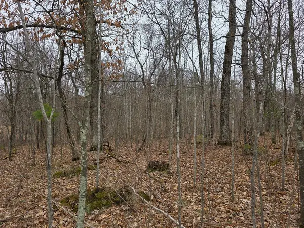 Lot 8 Lukes Lane, Danbury, WI 54830