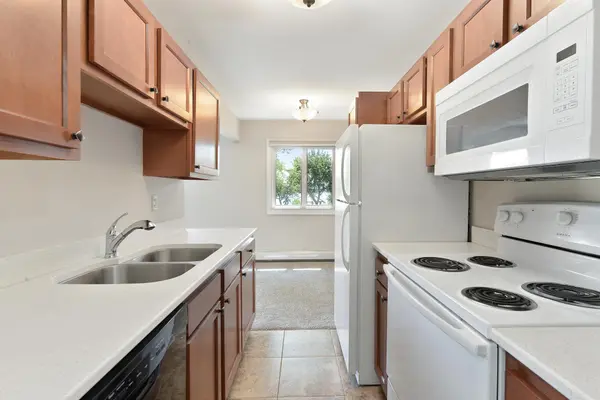 4387 Wilshire BLVD #202, Mound, MN 55364