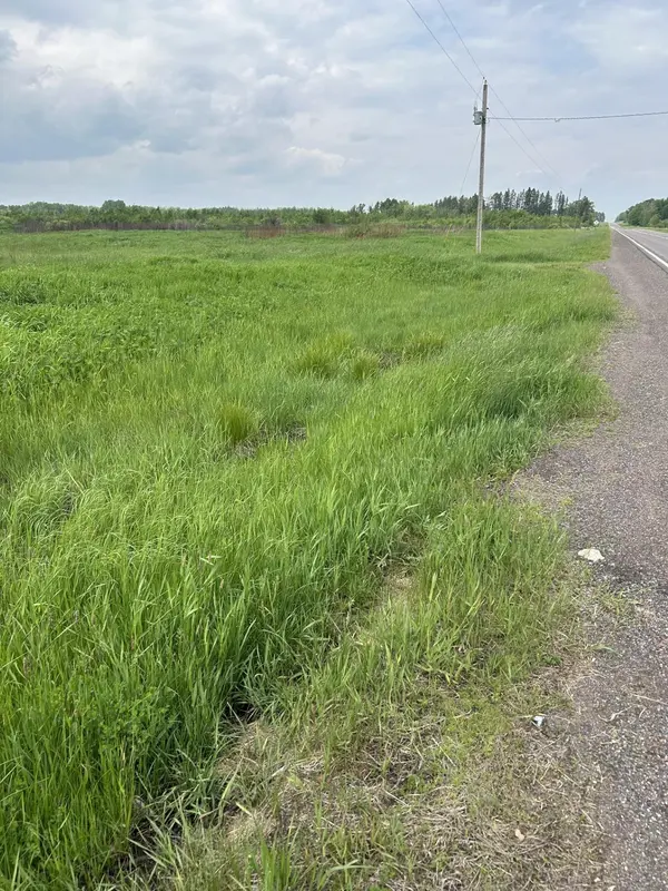 XXXX Finn RD, Automba Twp, MN 55757
