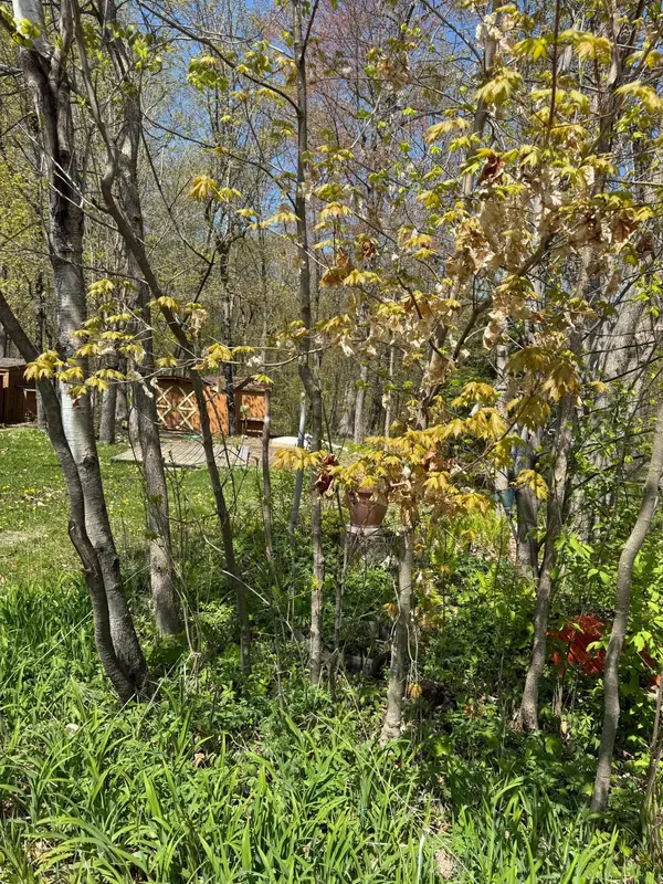 Blk 6 Lot 37 Canterbury Town, Hazelton Twp, MN 56431