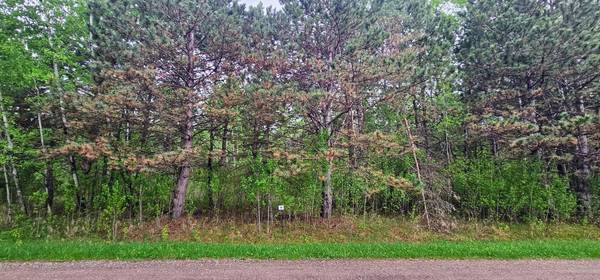 30147 Owl AVE,  Aitkin,  MN 56431
