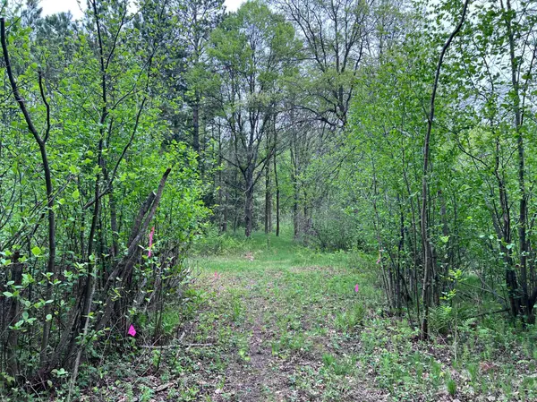 LOT 9 BLOCK 1 Yellow Birch LN, Emily, MN 56447