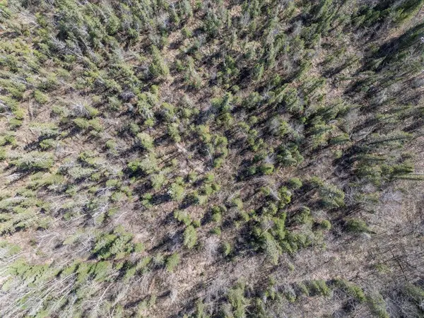 TBD xxx, Lake Emma Twp, MN 56470