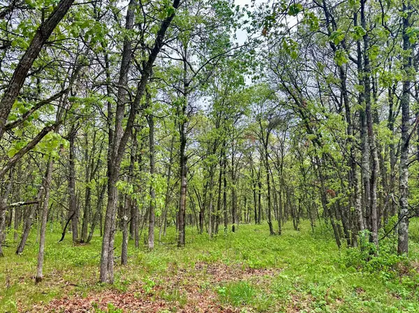 TBD Lot 4 204th St, Park Rapids, MN 56470