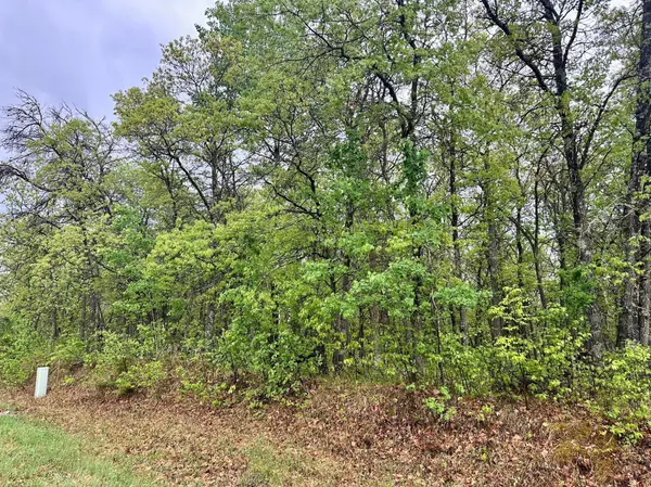 TBD Lot 4 204th St, Park Rapids, MN 56470