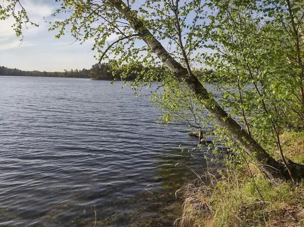 1343 Indian Point TRL NW, Pine River, MN 56474