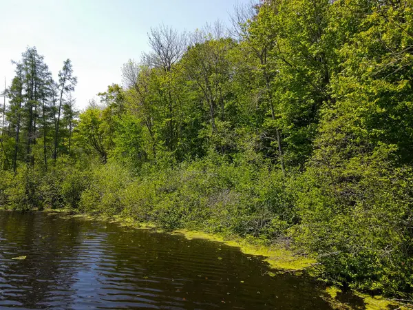 N2174 Pondell LN, Big Bend Twp, WI 54819