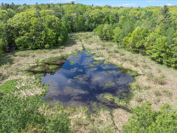 TBD 320th ST, Browerville, MN 56438