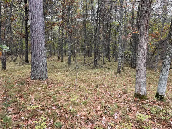 Lot 8 & 9 Essex RD, Park Rapids, MN 56470