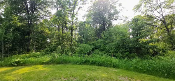 L2 B1 Josh, Pequot Lakes, MN 56472