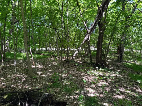 32xxx Smokey LN, Battle Lake, MN 56515