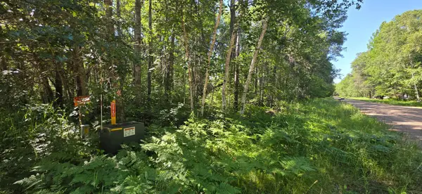 TBD Cedar ST, Breezy Point, MN 56472