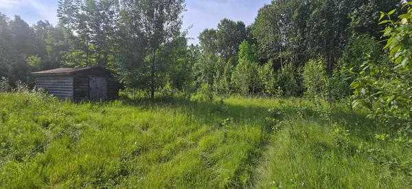 7755 Youngs Bay DR NW, Angle Twp, MN 56711