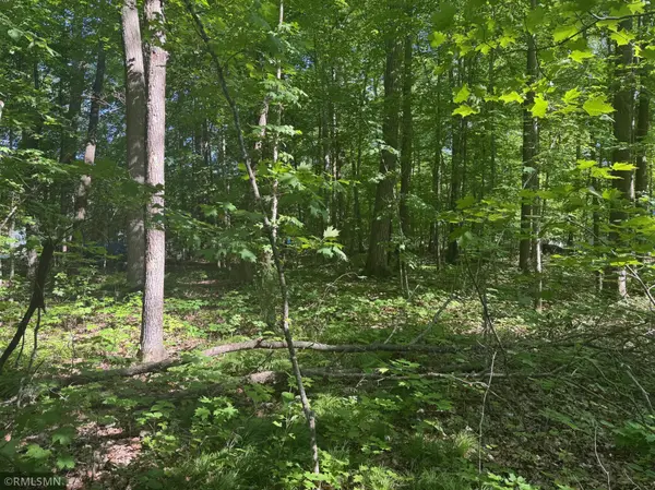 TBD 520th LN, Mcgregor, MN 55760