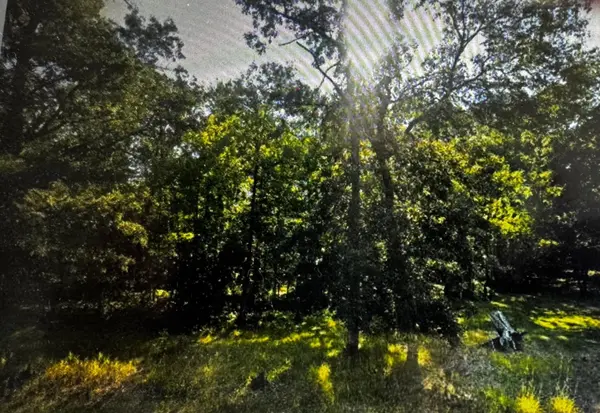340 State 84 SW, Barclay Twp, MN 56474